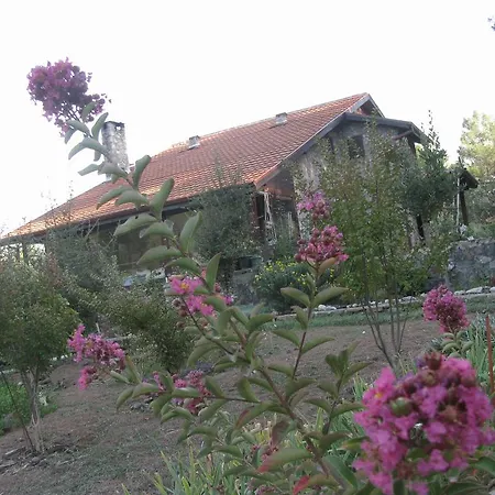 Dikencik Gospodarstwo wiejskie *