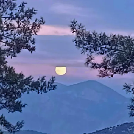 Dikencik * Uzumlu (Aegean)