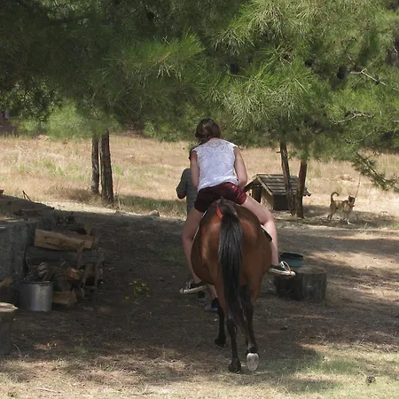 Dikencik Gospodarstwo wiejskie *