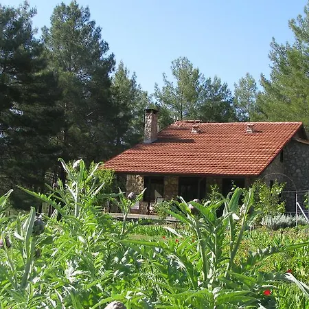 Dikencik Gospodarstwo wiejskie