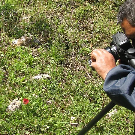 Gospodarstwo wiejskie Dikencik *