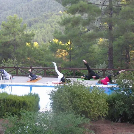 Dikencik * Uzumlu (Aegean)