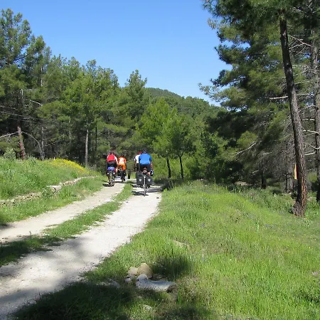 Gospodarstwo wiejskie Dikencik *