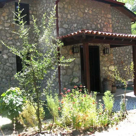 Dikencik Lantställe Uzumlu (Aegean)