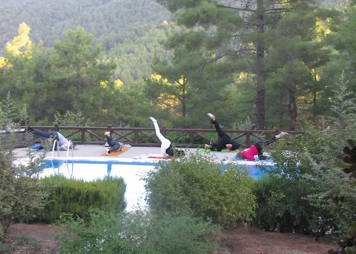 Dikencik * Uzumlu (Aegean)